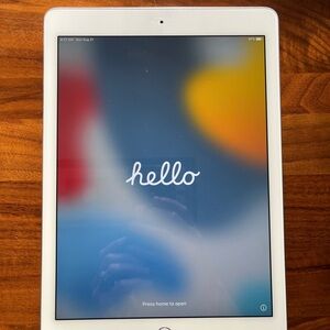 Apple iPad Air 2 128 GB with Otterbox Case